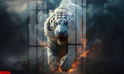 File gốc File tranh in décor tranh treo tường tổng hợp KD9044 (PNG) chất lượng cao