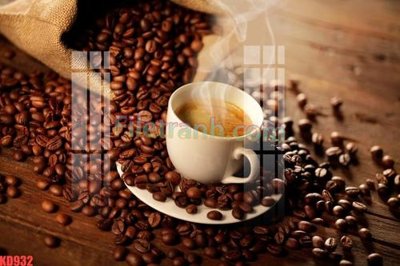 File tranh File gốc in tranh nền tường tổng hợp KD932 (ảnh gốc) không bị mờ