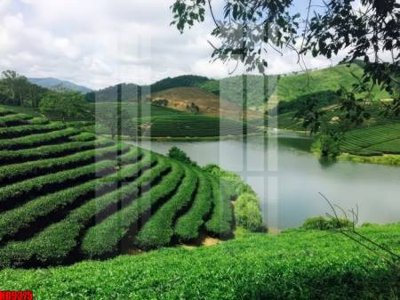 File PSD File tranh in décor tranh treo tường tổng hợp KD9375 (bản gốc) chất lượng nhất