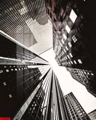 File tranh File tranh in décor tranh treo tường tổng hợp KD9398 (gốc) chủ đề động vật