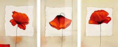 Tệp tin gốc File tranh in décor tranh treo tường tổng hợp KD9445 (dùng cho in ấn) chuyên nghiệp