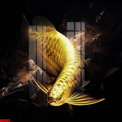 Ảnh mô tả file gốc in mica File tranh in décor tranh treo tường tổng hợp KD9581