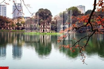 File tranh File tranh in décor tranh treo tường tổng hợp KD9887 (ảnh gốc) độc quyền