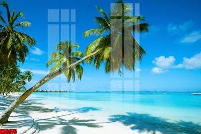 File gốc File tranh in décor tranh treo tường tổng hợp KD9975 (in lụa) trang trí tường