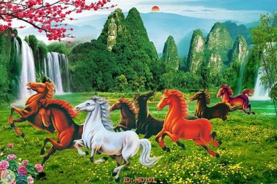 File gốc in ấn File mã đáo thành công MD101 (sẵn sàng tải về)