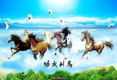 Download file ảnh gốc File mã đáo thành công MD113 để in ấn