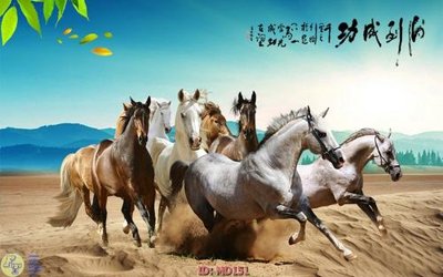 Tải file gốc File mã đáo thành công MD151 (bản PSD) còn layer