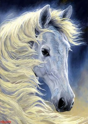 File in trần File mã đáo thành công MD1679 (file gốc) xuyên sáng