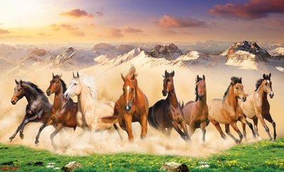 File gốc File mã đáo thành công MD1697 (in ấn) không giới hạn