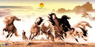 Tải file gốc File mã đáo thành công MD209 (in tráng gương) 5DFile gốc File mã đáo thành công MD209 (in ấn) phiên bản premium