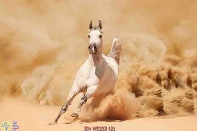 File gốc File mã đáo thành công MD223 (trang trí) phòng ngủ