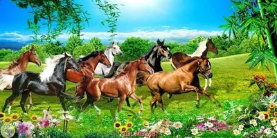 Chi tiết file tranh tráng gương File mã đáo thành công MD248 (ảnh gốc)