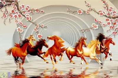 File ảnh File mã đáo thành công MD303 (gốc) in PP, decal