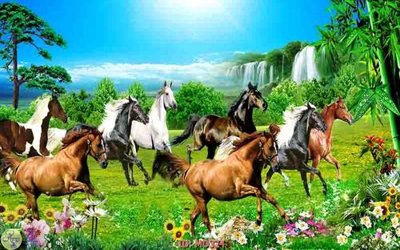 Tải file File mã đáo thành công MD324 (gốc) chủ đề phong thủy