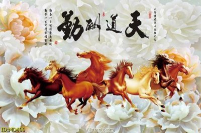 Ảnh gốc File mã đáo thành công MD400 (độ nét cao) in tráng gương