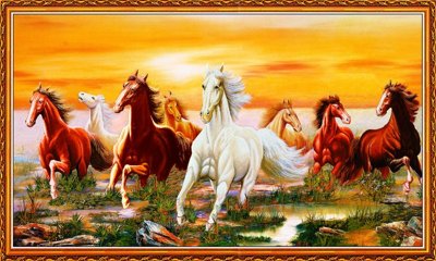 File tranh File mã đáo thành công MD6028 (gốc) in film