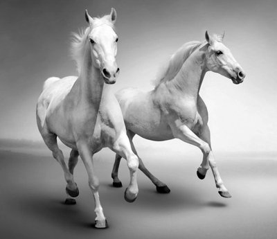 File ảnh File mã đáo thành công MD6201 (gốc) in Hiflex