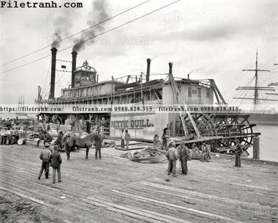 File gốc Nettie Quill_ 1906 (ảnh chi tiết) để in lụa