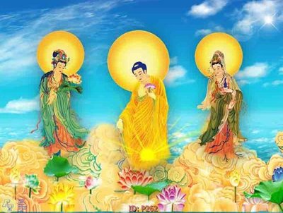 File tranh File phật giáo P262 (gốc) chủ đề động vật