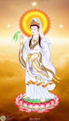 File gốc File phật giáo P277 (chuẩn CMYK) cho nhà in