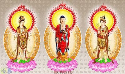 File ảnh File phật giáo P305 (gốc) cho trang trí nội thất
