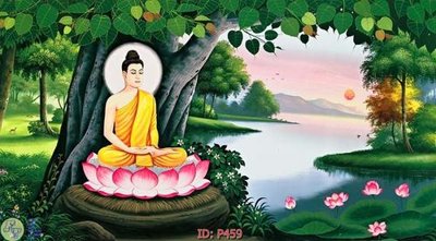 File in trần File phật giáo P459 (bản gốc) bầu trời