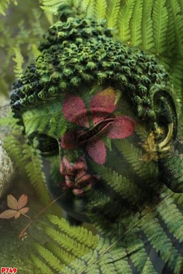 File gốc File tranh phật P749 (thiết kế) độc quyền