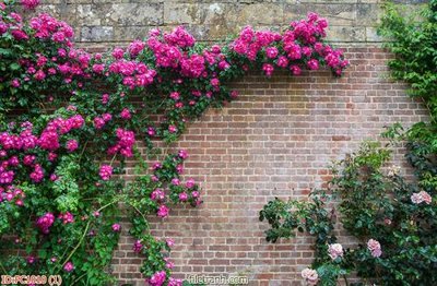 Tải file File gốc phong cảnh PC1010 (ảnh gốc) in tráng gương