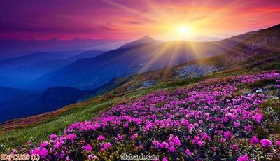 File ảnh File gốc phong cảnh PC1020 (gốc) cho trang trí nội thất