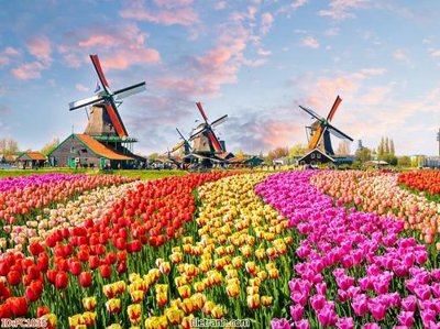 Download file gốc File gốc phong cảnh PC1035 (in mica) trang trí