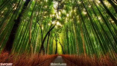 Hình ảnh gốc File gốc phong cảnh PC1037 (để in khổ lớn)