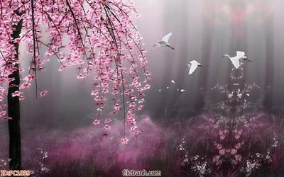 File gốc File gốc phong cảnh PC1039 (in lụa) tranh mã đáo