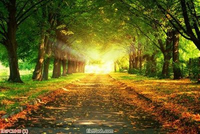 Chi tiết file ảnh File gốc phong cảnh PC1040 sắc nét