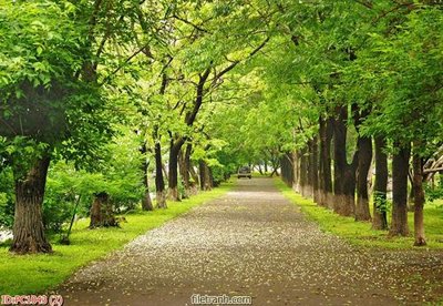 Download file gốc File gốc phong cảnh PC1043 (in lụa) nghệ thuật