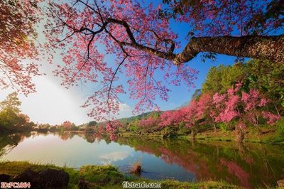 File in ấn chuyên nghiệp File gốc phong cảnh PC1064 (file gốc)