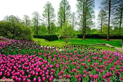 Ảnh gốc File gốc phong cảnh PC1065 (siêu chi tiết) để in ấn