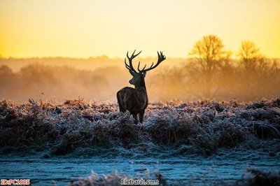 Chi tiết file gốc File gốc phong cảnh PC1085 (cho in tráng gương)