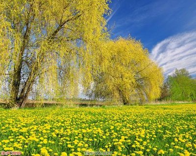 File ảnh File gốc phong cảnh PC1090 (gốc) in biển hiệu