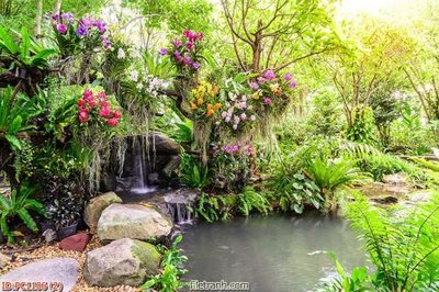 Tải file File gốc phong cảnh PC1106 (gốc) làm file quảng cáo