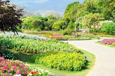 File gốc File gốc phong cảnh PC1135 (phiên bản chuẩn) để in ấn