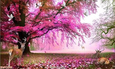 File gốc File gốc phong cảnh PC1140 (in lụa) hoa văn cổ điển