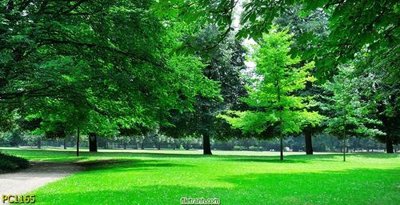 Tải file gốc File gốc phong cảnh PC1165 dùng cho in ấn