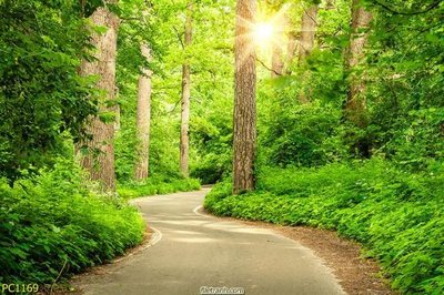 File tranh File gốc phong cảnh PC1169 (ảnh gốc) sắc nét hoàn hảo