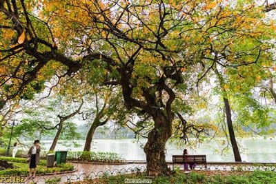 Download file tranh PSD File gốc phong cảnh PC1182 để chỉnh sửa