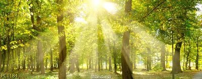 File in trần File gốc phong cảnh PC1184 (file gốc) hoa văn 3D