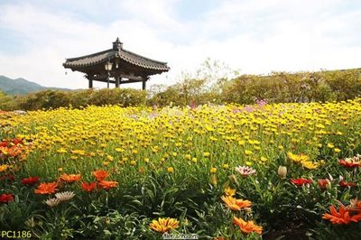 File gốc File gốc phong cảnh PC1186 (cho in UV) siêu nét