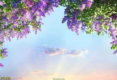 File in trần File gốc phong cảnh PC1189 (file gốc) hoa văn 3D