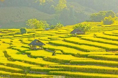 File ảnh File gốc phong cảnh PC1196 (gốc) in biển hiệu