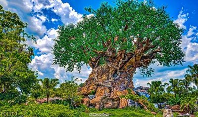 Tải file File gốc phong cảnh PC1200 (ảnh gốc) độ phân giải 300dpi