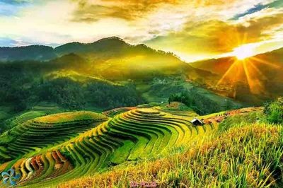 File gốc File gốc phong cảnh PC125 (trang trí) phòng trẻ em